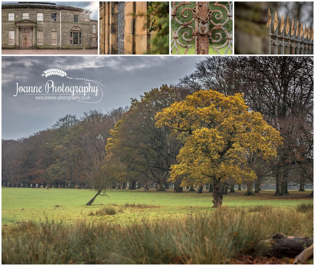 Tatton Park Landscape