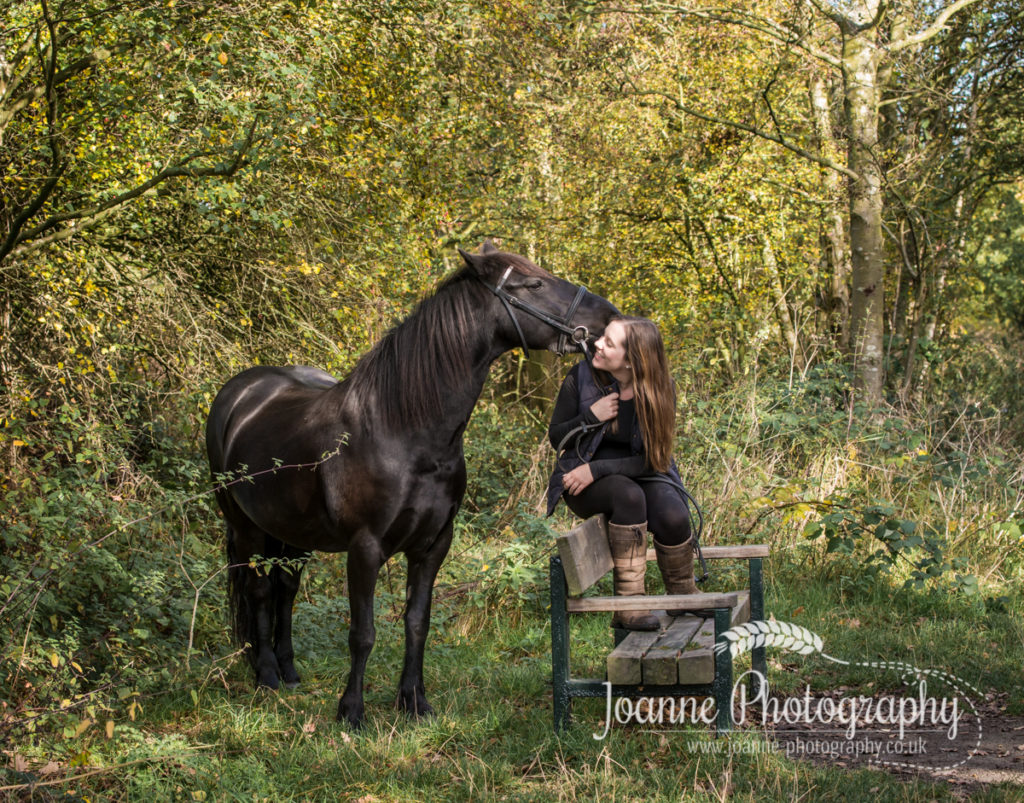 Horse Photoshoot Hazel Grove