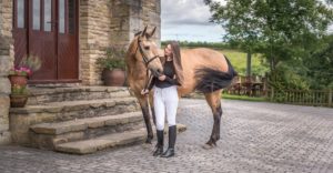 Equine Photography