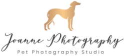 Horse Photographer and Pet Photographer based in Cheshire, UK Logo