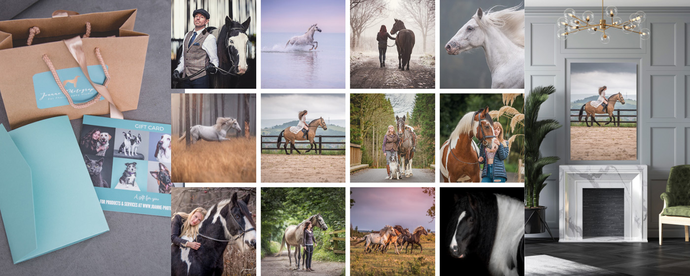 Horse-Photographer-Cheshire